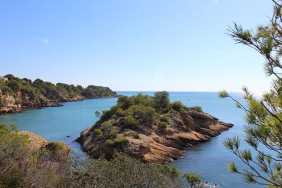Casita De Pescadores Con Vista Al Puerto Daire L'Ametlla de Mar Dış mekan fotoğraf